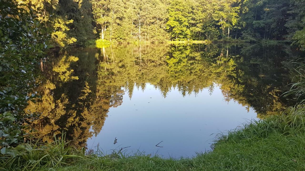 Apartmán U kolonády Marianske Lazne Exterior foto